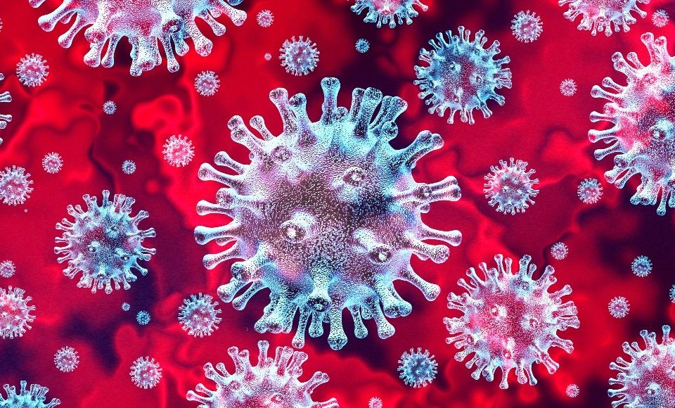 7 960x580 - همه آنچه که باید در مورد ویروس کرونا بدانید