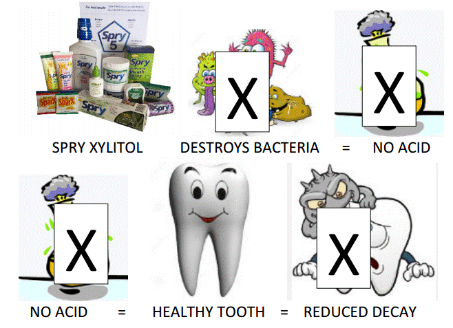 زایلیتول محافظ سلامت دندان ها