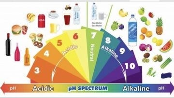 اهمیت تعادل pH